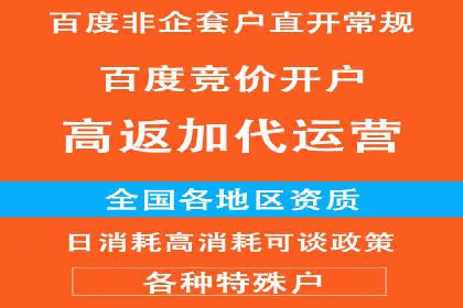 百度推广代运营公司服务详解：全方位的广告策略